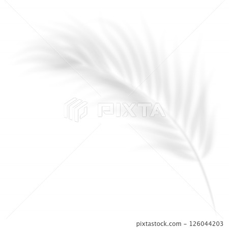 The transparent shadow overlay effect tropic leaf. Realistic transparent shadow of a palm branch. Mockup with tropic leaves shadow. Vector illustration The transparent shadow overlay effect tropic leaf. Realistic transparent shadow of a palm branch. Mockup with tropic leaves shadow. Vector illustration 126044203