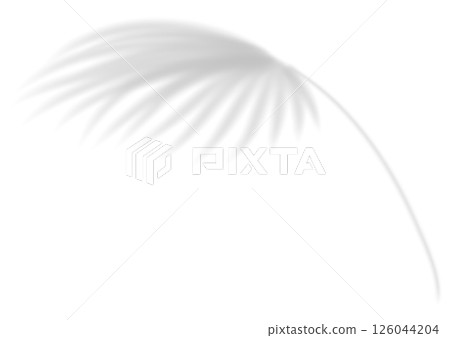 Realistic transparent shadow from a leaf of a palm tree. Mockup with tropic leaves shadow and overlay effect for product presentation and seasonal design. Vector illustration 126044204