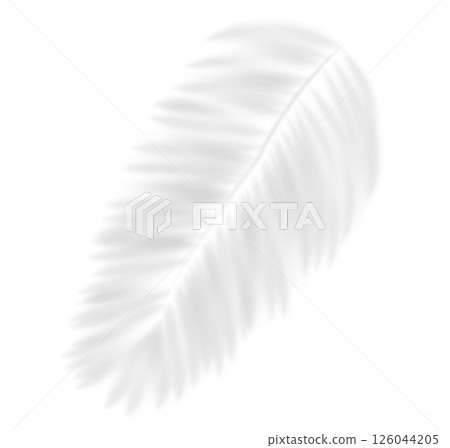 Realistic transparent shadow from a leaf of a palm tree. Mockup with tropic leaves shadow and overlay effect for product presentation and seasonal design. Vector illustration 126044205