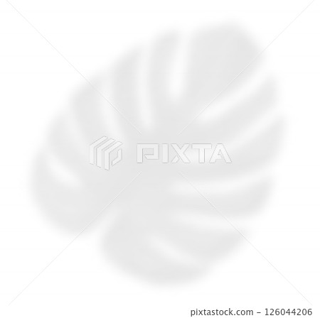 The transparent shadow overlay effect monstera leaf. Realistic transparent shadow of a palm branch. Mockup with tropic leaves shadow. Vector illustration The transparent shadow overlay effect monstera leaf. Realistic transparent shadow of a palm branch. Mockup with tropic leaves shadow. Vector illustration 126044206