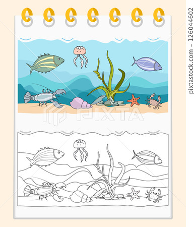 Coloring book Underwater Seabed Ocean Sea habitat Coloring book Underwater Seabed Ocean Sea habitat 126044602