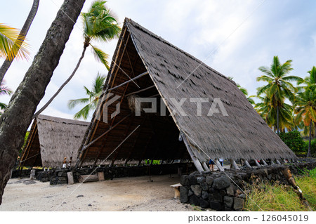 夏威夷假期：大島普烏霍努阿霍那瑙國家歷史公園 126045019