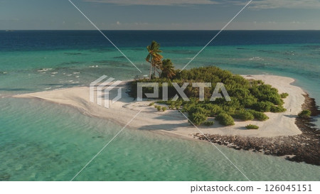 Breathtaking aerial view capturing a secluded tropical island with lush vegetation, white sandy beaches, and swaying palm trees in crystal-clear turquoise waters of the Maldives 126045151