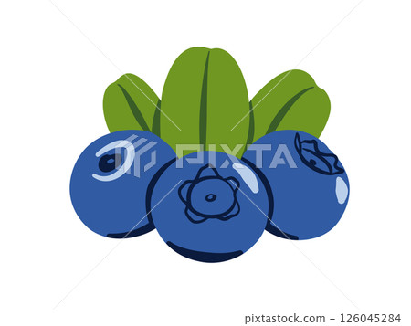 Blueberries Symbol Vector Illustration. Flat Three Berries and Green Leaves Isolated on White Background Blueberries Symbol Vector Illustration. Flat Three Berries and Green Leaves Isolated on White Background 126045284
