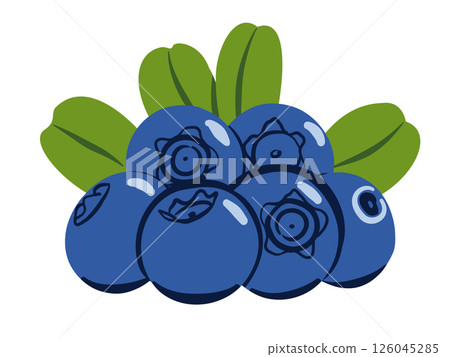 Blueberries with Leaves Icon Vector Illustration. Flat Set Berries Isolated on White Background Blueberries with Leaves Icon Vector Illustration. Flat Set Berries Isolated on White Background 126045285