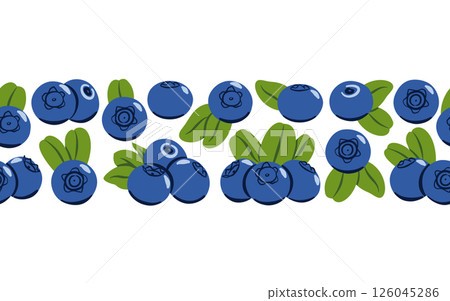 Flat Vector Blueberry Border on White Background Flat Vector Blueberry Border on White Background 126045286