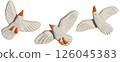 set of white cute seagull birds in flight made of plasticine 126045383