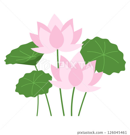 蓮花圖標 126045461