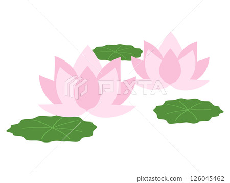 蓮花圖標 126045462