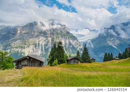 View on the alpine valley Grindelwald. Jungfrau, Switzerland. Under the Bernese alps. Mountain village. 126045554