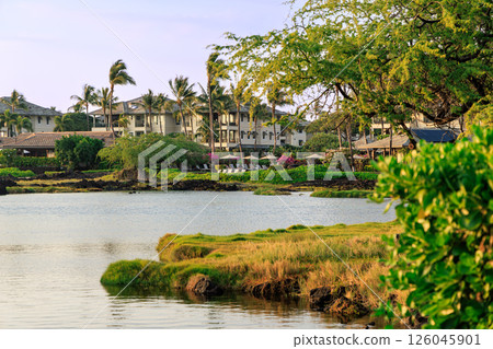夏威夷假期，夏威夷島，帕普納海灘公園州立公園 126045901