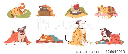 Pets with blanket. Cartoon cat and dog wrapped in warm cozy blankets, cute kitten sleep dream lazy puppy comfy home autumn fall adorable pet animals set, classy vector illustration 126046013
