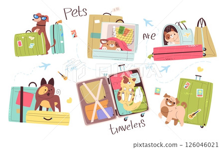 Pets travel luggage. Funny cat cute dog in pet carrier with bag for journey road trip, summer vacation stickers tourist owner pets kitten puppy animal, classy vector illustration 126046021