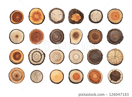 Cartoon tree trunks timber slices. Wood log annual rings cross section cut age circuit stumps plant growth loops, vector set isolated on white background 126047183