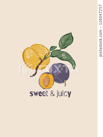 Vector fruit poster of peach and plum. Hand-drawn garden harvest sketch. Tasty food illustration for restaurant and cafe interior, fruit market drawing print, fabric or background. Vector fruit poster of peach and plum. Hand-drawn garden harvest sketch. Tasty food illustration for restaurant and cafe interior, fruit market drawing print, fabric or background. 126047257