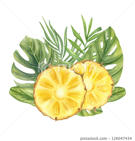 Two juicy pineapple slices and lush monstera and palm leaves watercolor illustration isolated background. Fruit and tropical leaves for summer promotions, healthy food packaging, or vacation branding 126047434