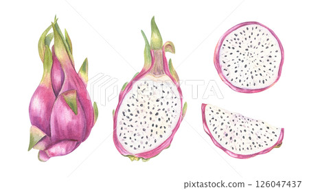 Watercolor illustration of pink pitaya set isolated background. Whole, halved with pulp and seeds, round slices clip art for healthy food branding, tropical menus, and superfood packaging. Watercolor illustration of pink pitaya set isolated background. Whole, halved with pulp and seeds, round slices clip art for healthy food branding, tropical menus, and superfood packaging. 126047437
