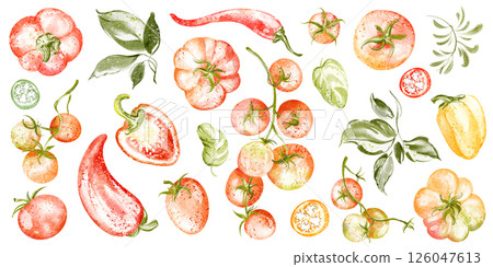 A hand-drawn watercolor illustration of ripe tomatoes, bell peppers, and chili peppers. Includes basil and green leaves, perfect for food, cooking, and nutrition-themed designs. 126047613