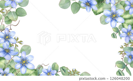 Watercolor floral frame with delicate blue hepatica flowers and eucalyptus branches with copy space for text. Botanical border for wedding invitations, spring greeting cards, and stationery design 126048200