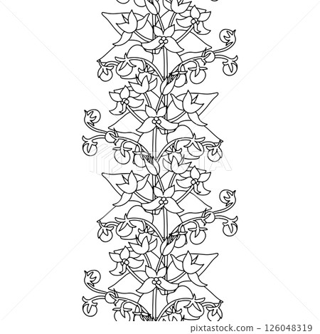 Stripe pattern with black and white line art canary islands flowers Tenerife nightshade 126048319