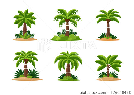 palm tree set flat vector illustration isolated on white background 126048438