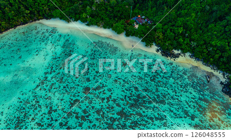 Aerial view of coral reef in sea shore 126048555