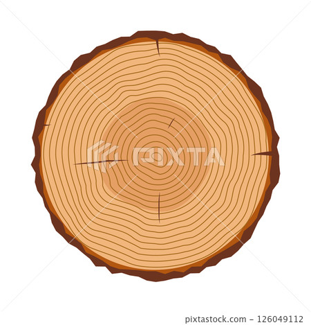 Tree Trunk Cross Section with Growth Rings Vector Illustration. A detailed cross section of a tree trunk, showcasing clearly visible annual growth rings that radiate outward from the center. 126049112