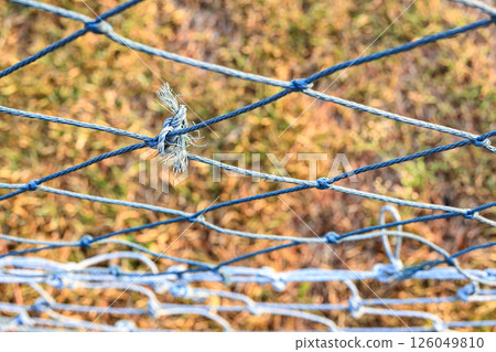 Rope knots are used to repair weathered and tangled green nets. 126049810