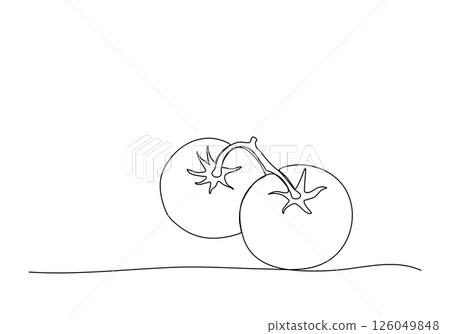 Two tomatoes. One line drawing vector illustration. Two tomatoes. One line drawing vector illustration. 126049848