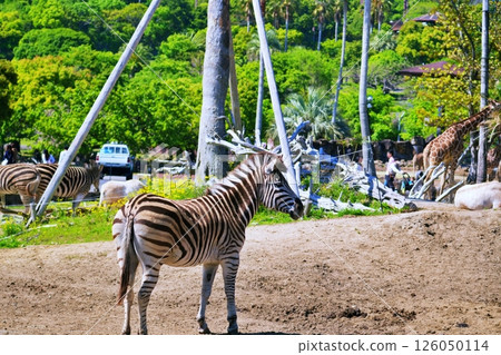 Safari Park scenery 126050114