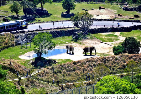 Safari Park scenery Safari Park scenery 126050130