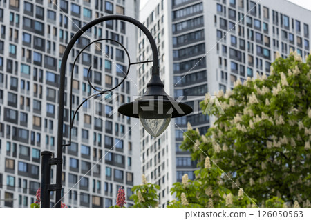 Patterned street lamp against the backdrop of blossoming chestnut trees and high-rise buildings in the background Patterned street lamp against the backdrop of blossoming chestnut trees and high-rise buildings in the background 126050563