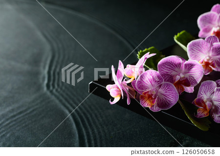 Beautiful purple orchid flowers on a blackboard. 126050658