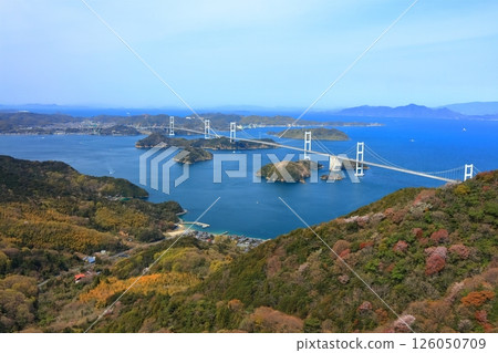 【愛媛縣】春天櫻花盛開時,從岐山展望台眺望來島海峽大橋(島波街道) 【愛媛縣】春天櫻花盛開時,從岐山展望台眺望來島海峽大橋(島波街道) 126050709