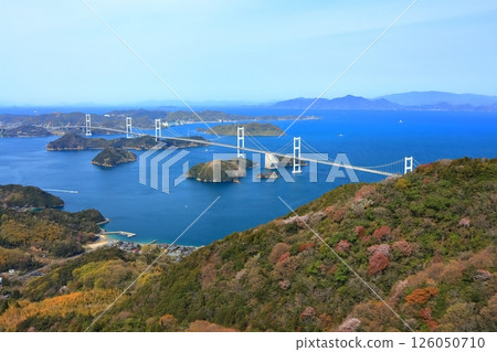 [Ehime Prefecture] The Kurushima Kaikyo Bridge (Shimanami Kaido) as seen from Kiroyama Observatory in spring when cherry blossoms are in bloom 126050710