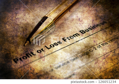 Profit or loss from business Profit or loss from business 126051234
