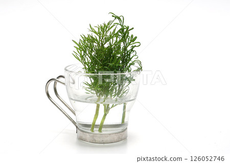 Dale in a glass on a white background Dale in a glass on a white background 126052746