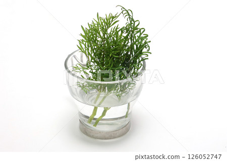 Dale in a glass on a white background Dale in a glass on a white background 126052747