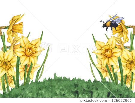 Yellow watercolor flowers and bumblebee. Watercolor illustration of a meadow with flowers and flying bees. Flower meadow on a summer day. Frame of flowers and bees 126052965