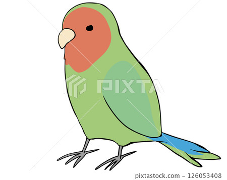 Colorful Lovebirds 126053408