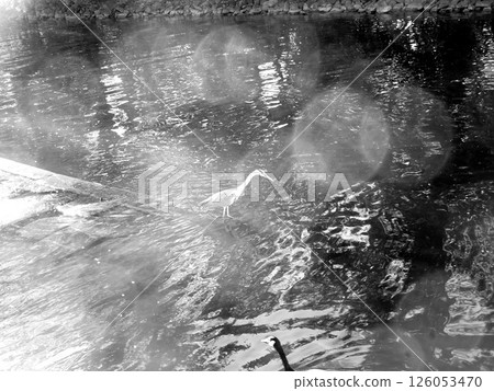 abstract background with reflection 126053470