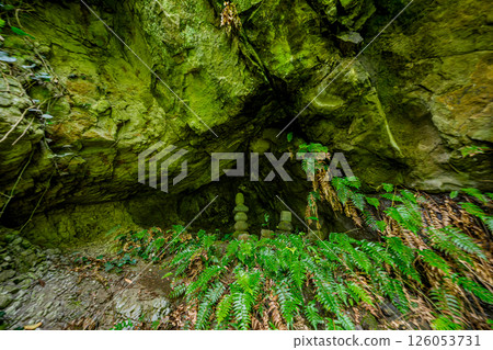 Fushihime cage hole 126053731