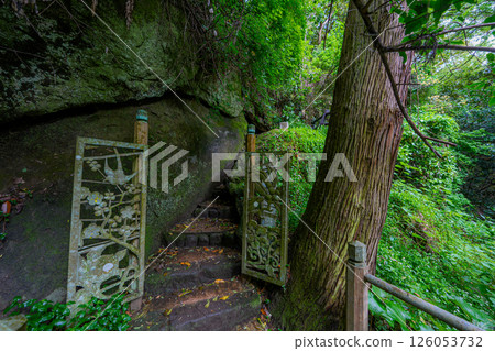 Fushihime cage hole 126053732