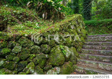 Fushihime cage hole 126053735