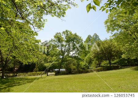 京都市左京區上高野寶池公園 京都市左京區上高野寶池公園 126053745