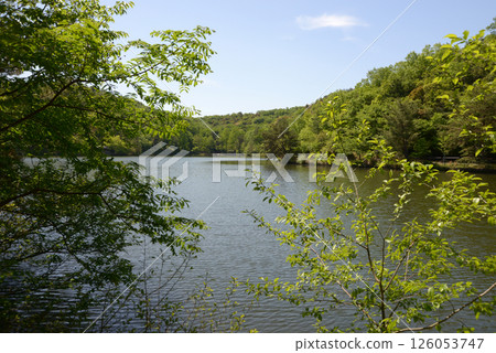 寶龜公園 寶龜池 京都市左京區上高野 126053747