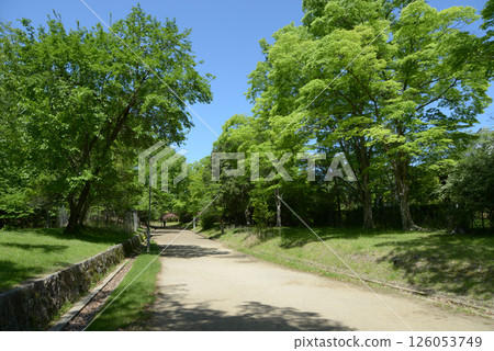 京都市左京區寶池公園人行道上高野 126053749