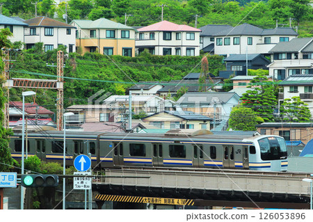 The E217 series train travels through Taura in early summer, amid dazzling fresh greenery. 126053896
