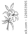 Simple lily flower illustration 126053905