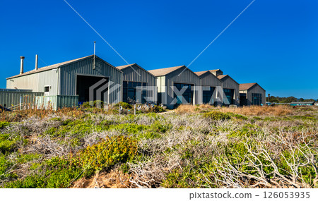 Coastal marine laboratory buildings near the Pacific Ocean in Santa Cruz, California, surrounded by coastal vegetation under a clear blue sky Coastal marine laboratory buildings near the Pacific Ocean in Santa Cruz, California, surrounded by coastal vegetation under a clear blue sky 126053935